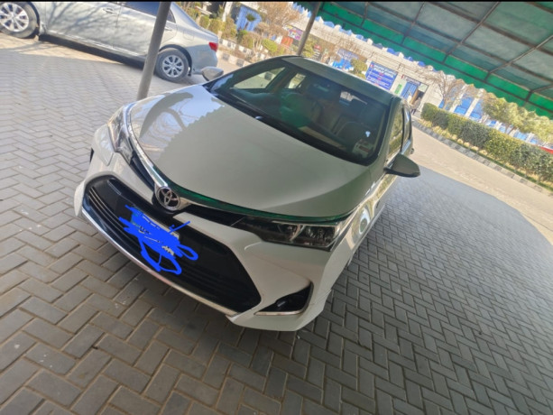 family-car-big-0