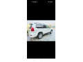 toyota-prado-tzg-34-small-3