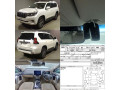 toyota-prado-txl-small-0
